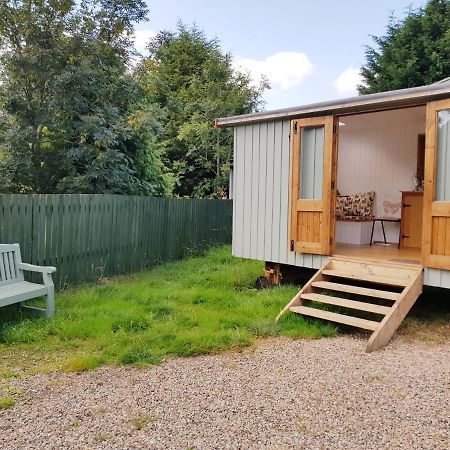 The Llama Hut Kirklevington エクステリア 写真